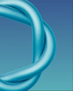 Success Agent