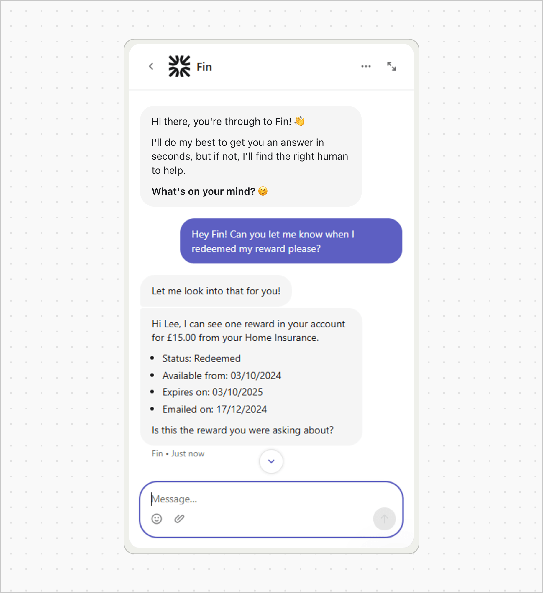 Fin checks account data, interprets the result, and responds with personalized reward details instantly.